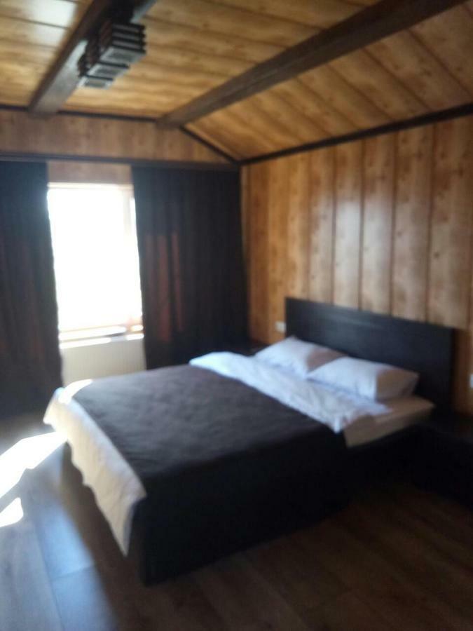 Royal House Villa Kamjanets-Podilskyi Eksteriør billede